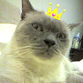 [Avatar]