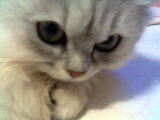 [Avatar]
