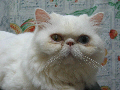 [Avatar]