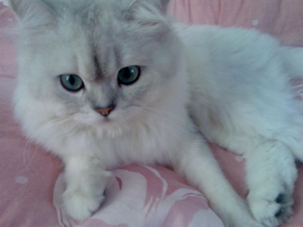 [Avatar]