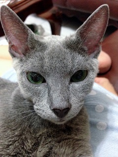 [Avatar]
