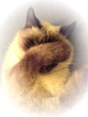 [Avatar]