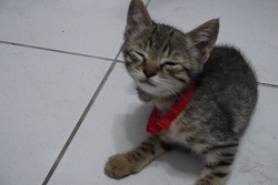 [Avatar]