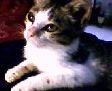 [Avatar]