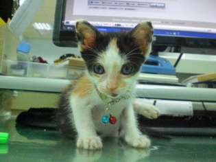[Avatar]