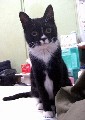 [Avatar]