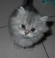 [Avatar]