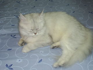 [Avatar]