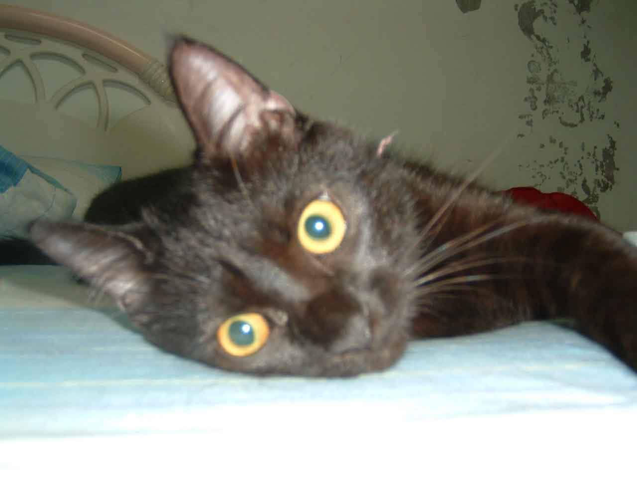 [Avatar]