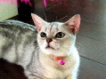 [Avatar]