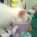 [Avatar]