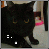 [Avatar]
