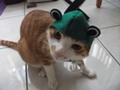 [Avatar]