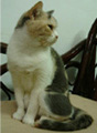 [Avatar]