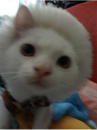 [Avatar]