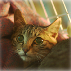 [Avatar]