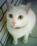 [Avatar]