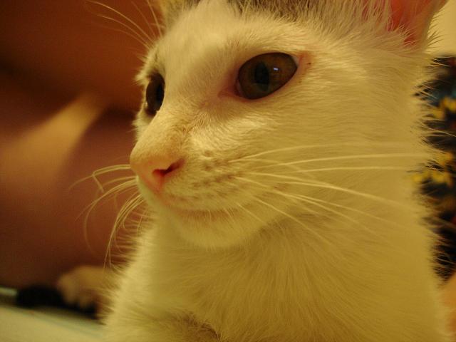 [Avatar]