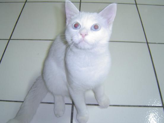 [Avatar]