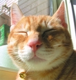 [Avatar]