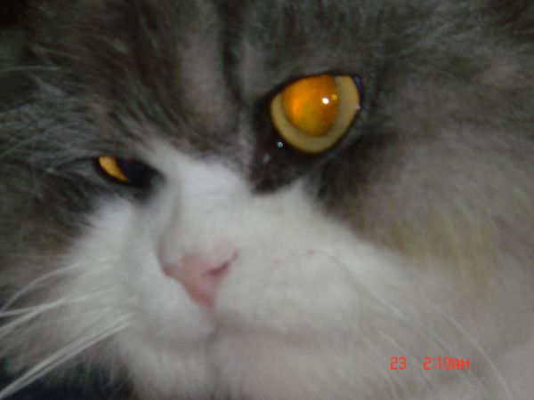 [Avatar]