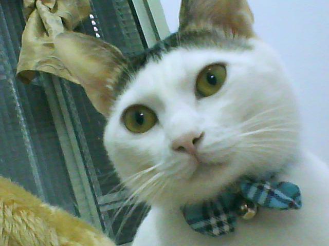 [Avatar]