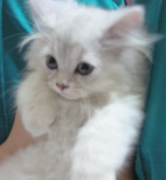 [Avatar]