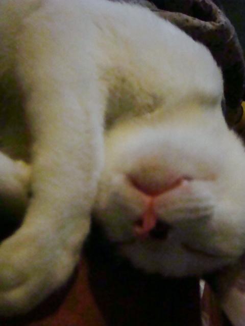[Avatar]