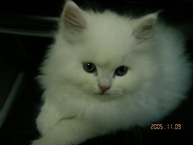 [Avatar]