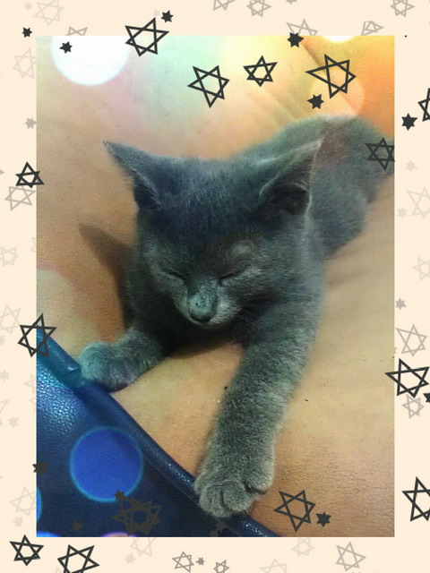 [Avatar]