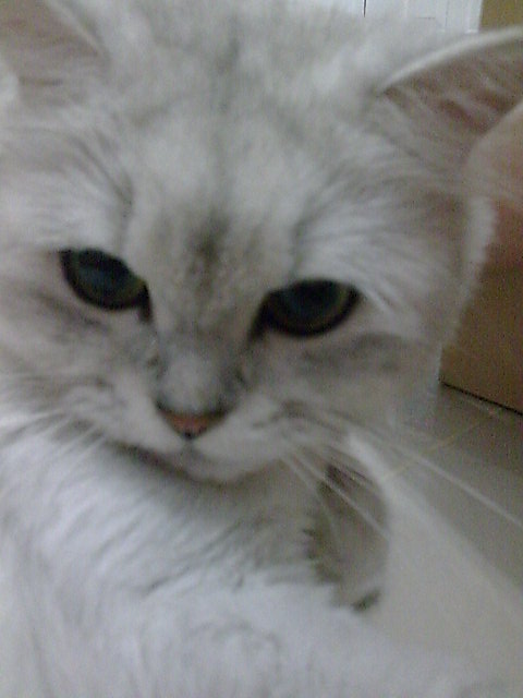 [Avatar]