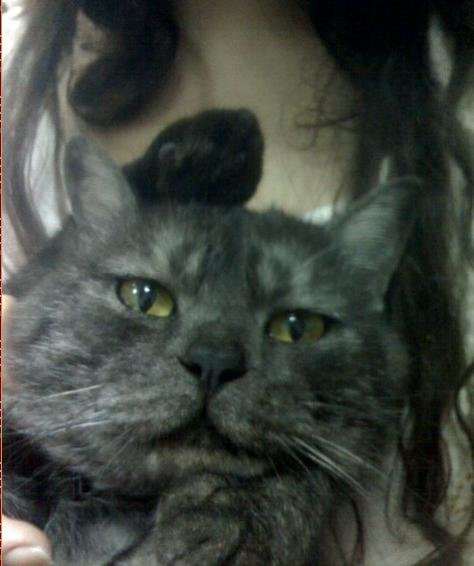 [Avatar]