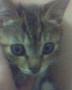 [Avatar]