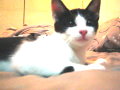 [Avatar]